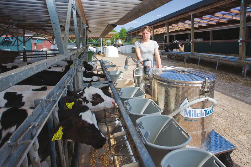 Automatic Calf Feeders Lawrence S Dairy Supply Inc